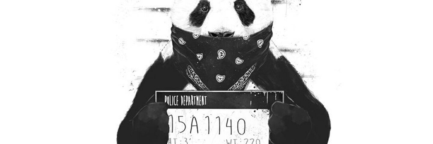 pandafemea's profile banner image