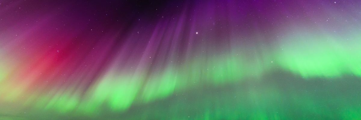 Cameron Patterson banner