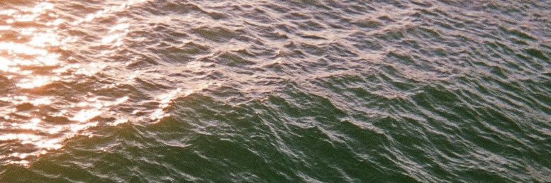 indigoblaize's profile banner image