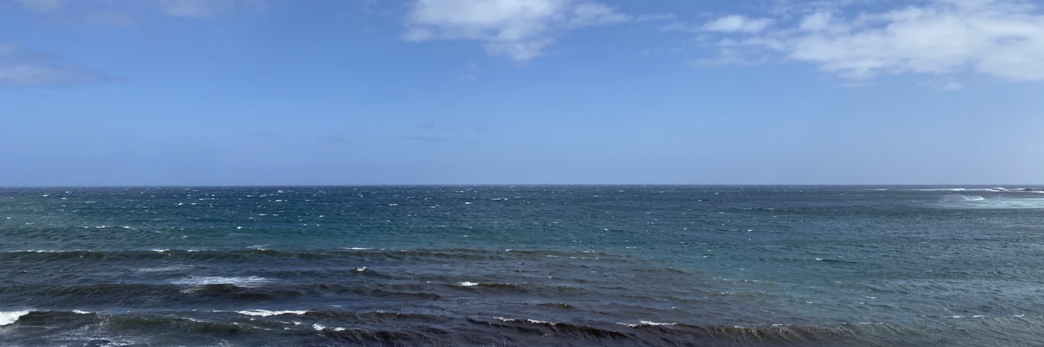 Allison Best banner