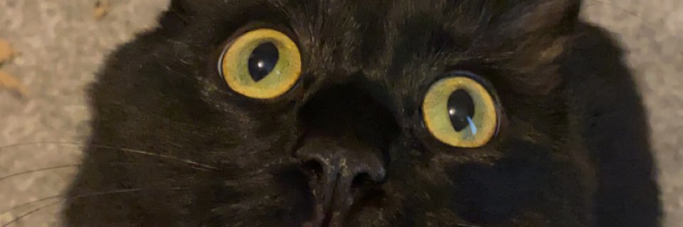 IeuanElgin's profile banner image
