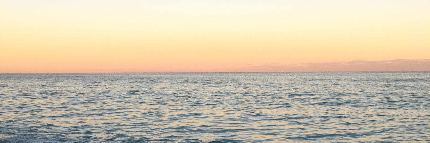 sol_funes1's profile banner image