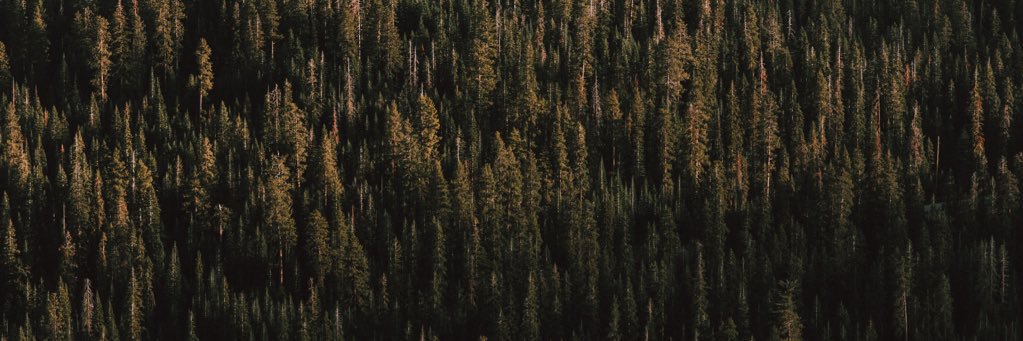 iamTobyMitchell's profile banner image