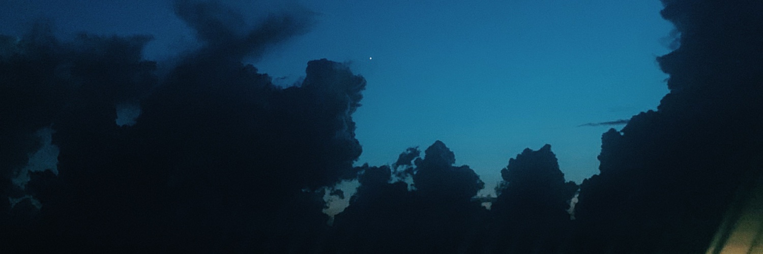 arditaelezi's profile banner image