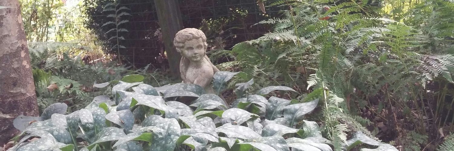 judyplask's profile banner image