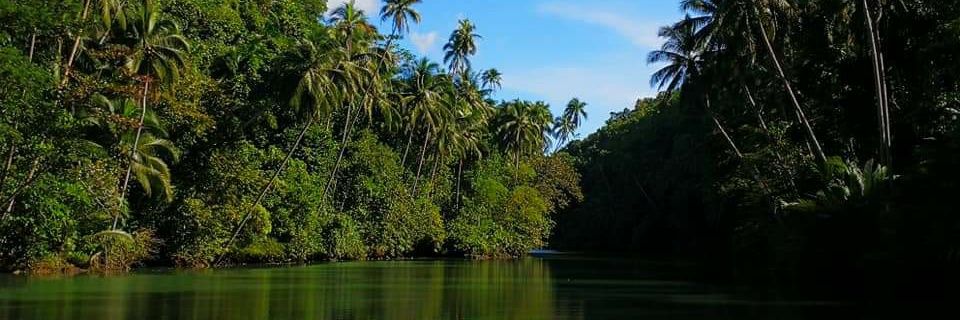 Estef_GS's profile banner image