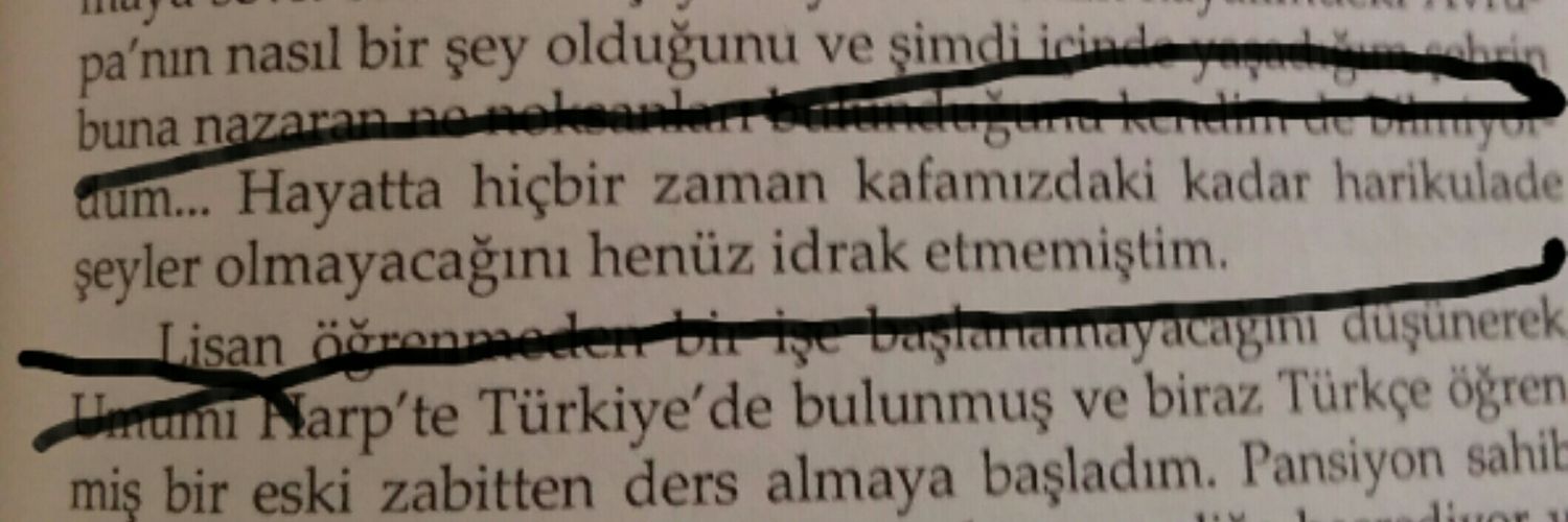 Haydar Aygün banner