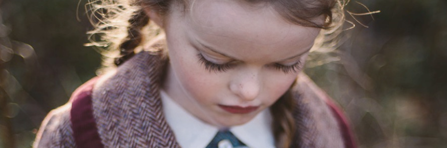 ElksofIreland's profile banner image