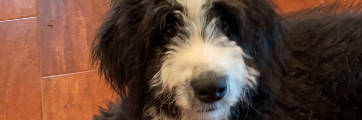 Gabbs_Tho's profile banner image