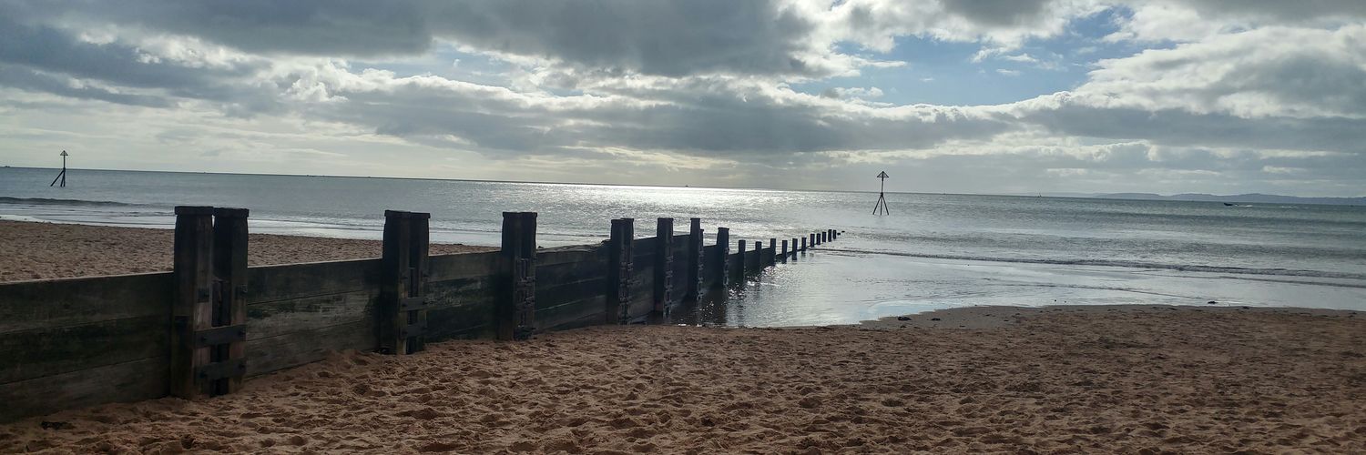 Victoria Burns banner