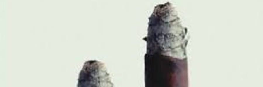 mesudatabay's profile banner image