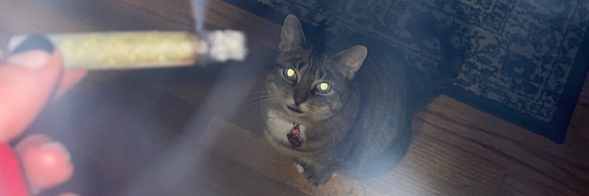 ronnie_post's profile banner image