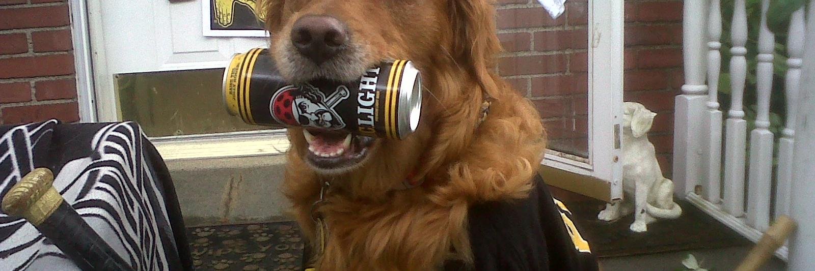 Michael Prilla banner