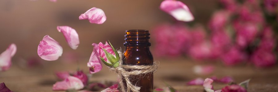 ScentsGarden's profile banner image