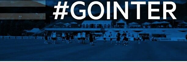 Go Inter banner