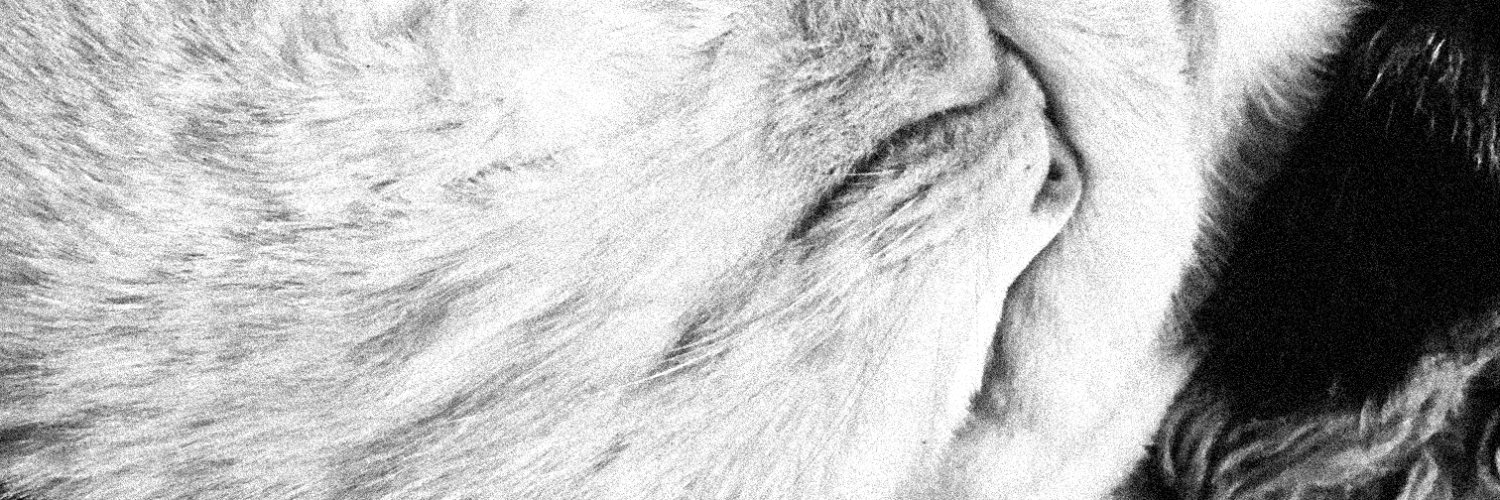 b a r b a r i n . 🆗 barbarin.bsky.social banner