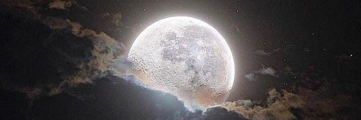 Nxllelowitz's profile banner image