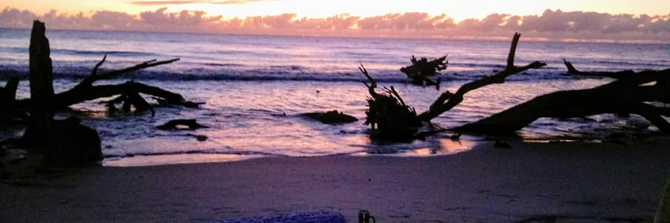ArtiesOther's profile banner image