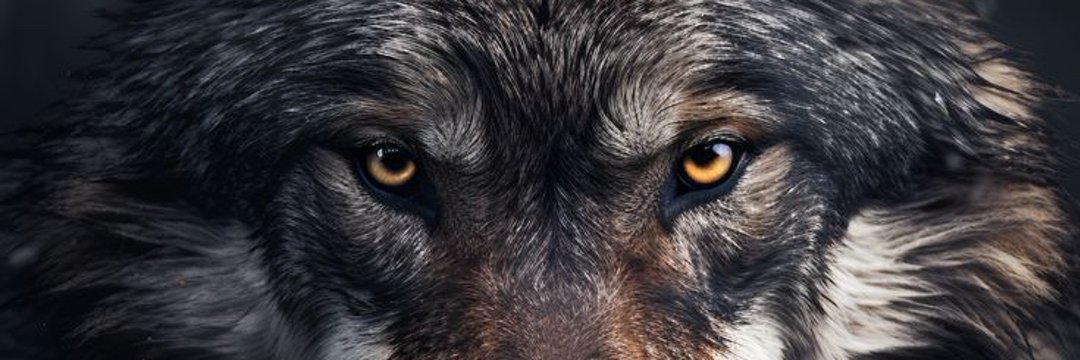 7Saqib's profile banner image