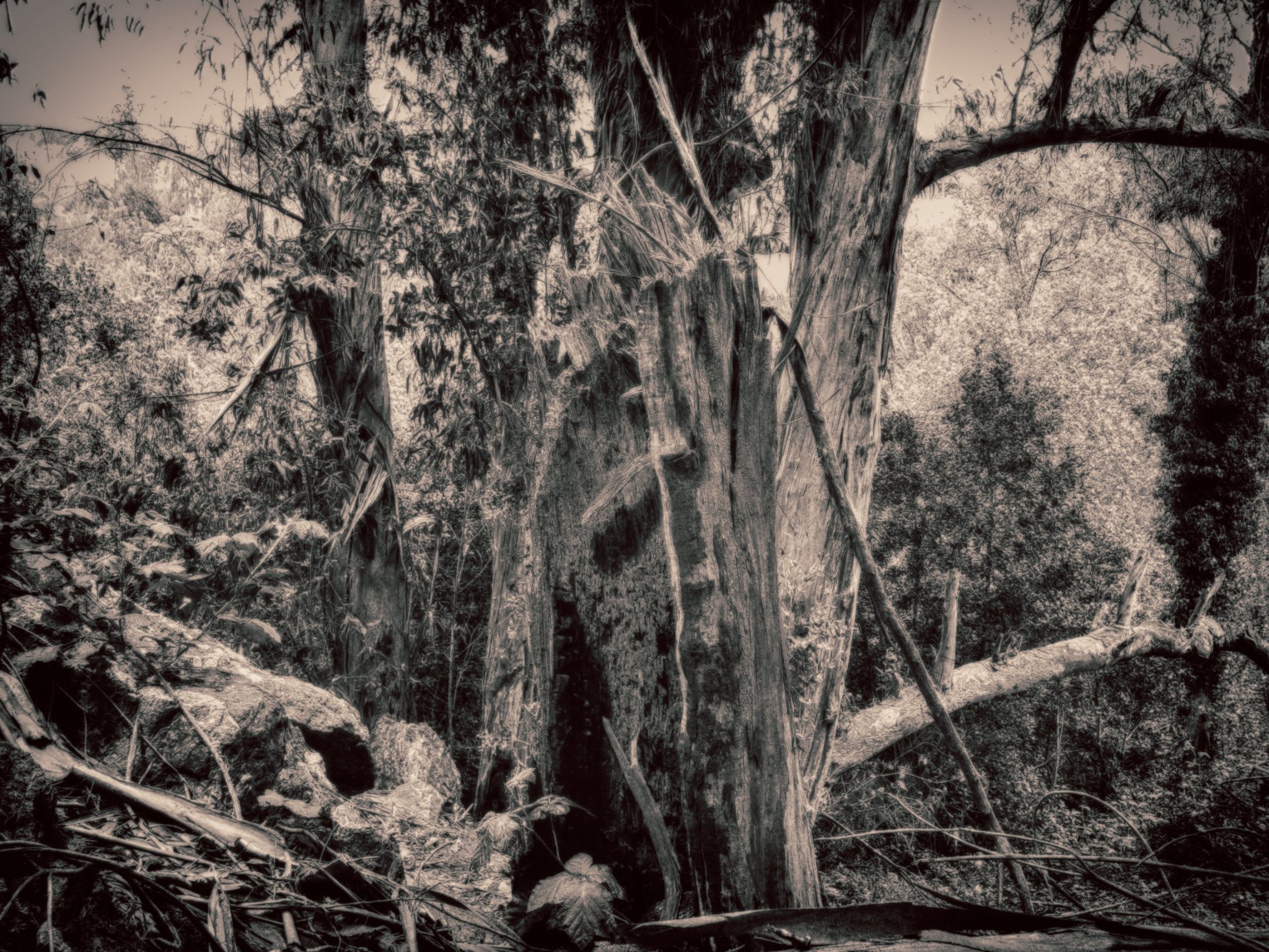 paefes's profile banner image