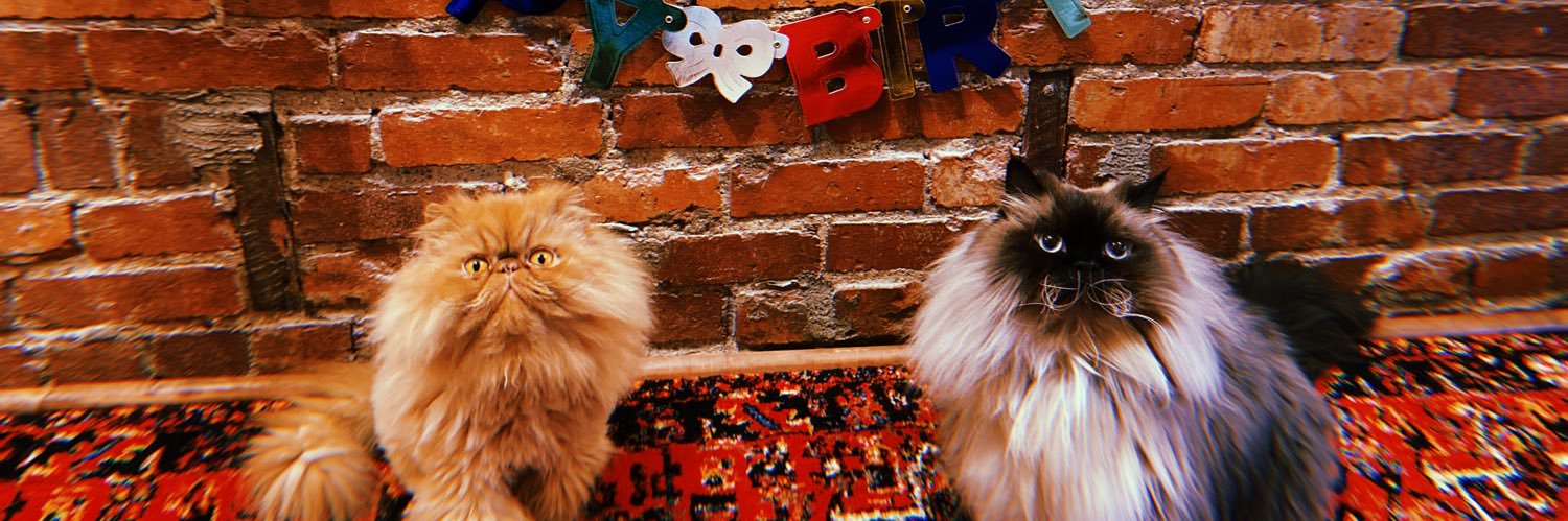MElleira's profile banner image
