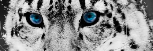 _MiGuEl_DaViD's profile banner image