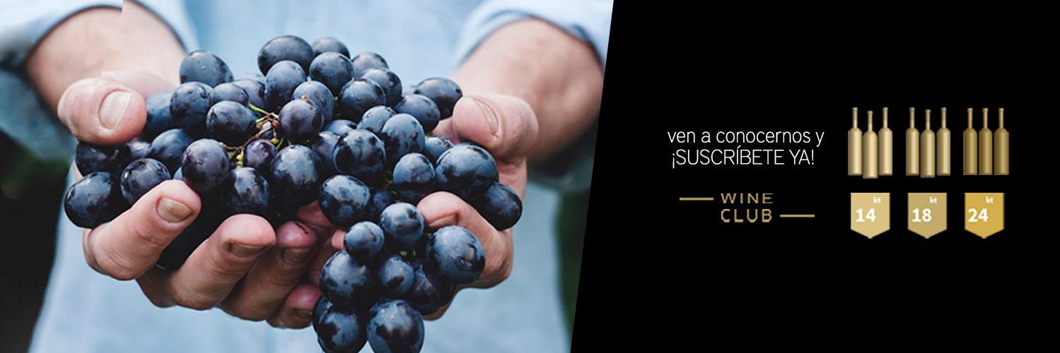 orosdechile's profile banner image