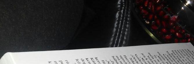 barabelova's profile banner image