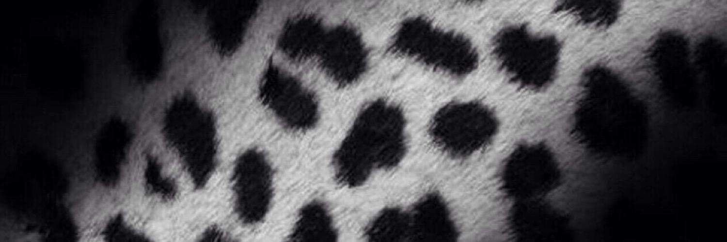 lileanap's profile banner image