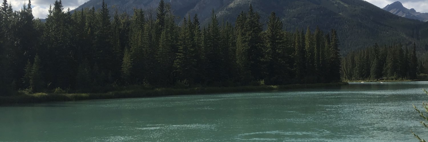C_Hoium21's profile banner image