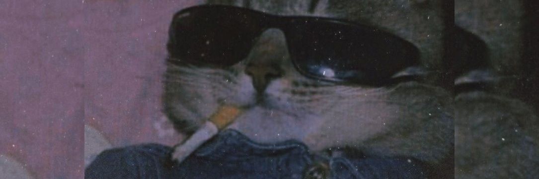 miccaelagomez's profile banner image