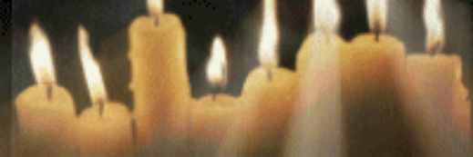 BebilsBeril's profile banner image
