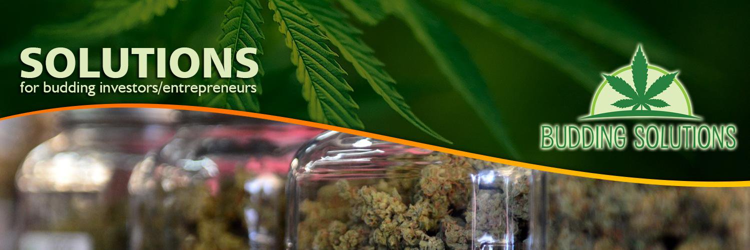buddingsolution's profile banner image