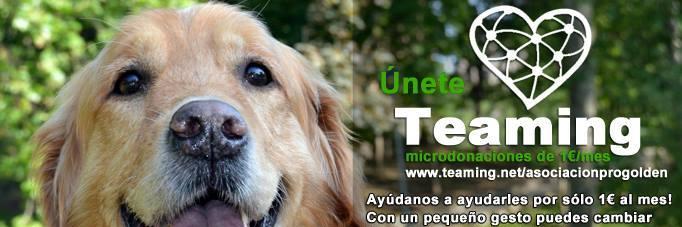 ProGolden_'s profile banner image