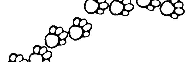 MMiller_RCE's profile banner image