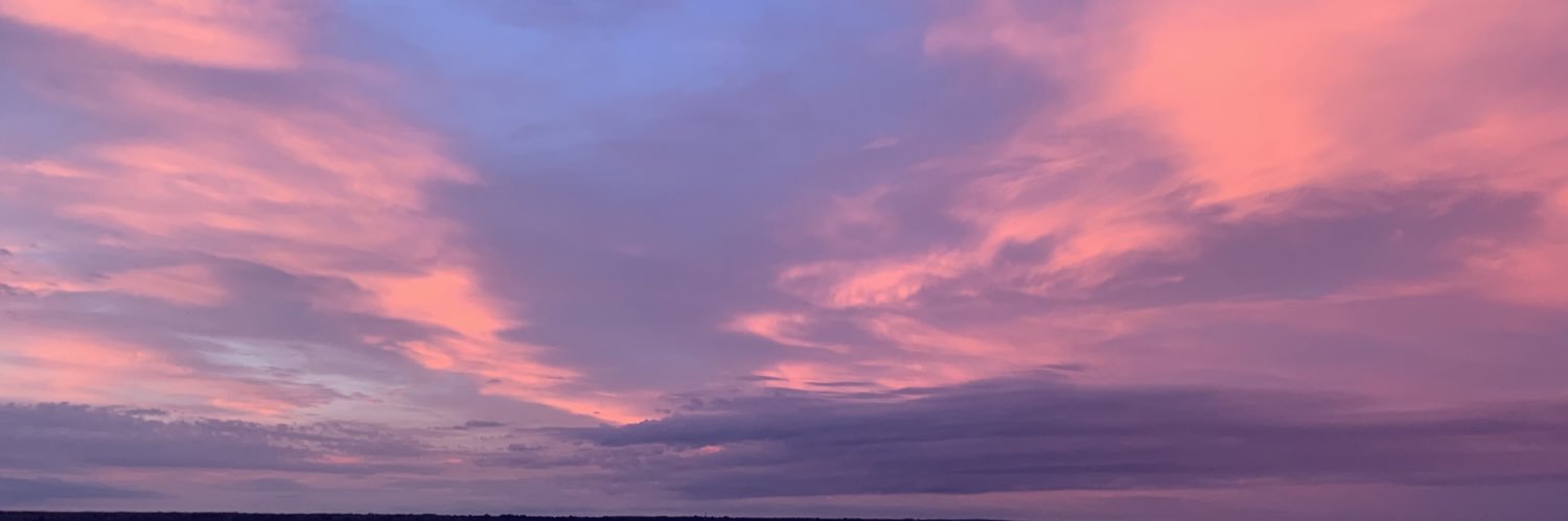 abbyoreilly_'s profile banner image