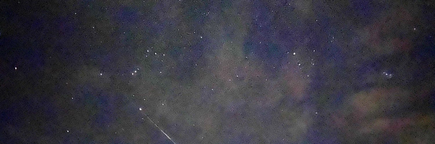 Britte.🧋Evelyn Tucci Sends Her Regards banner