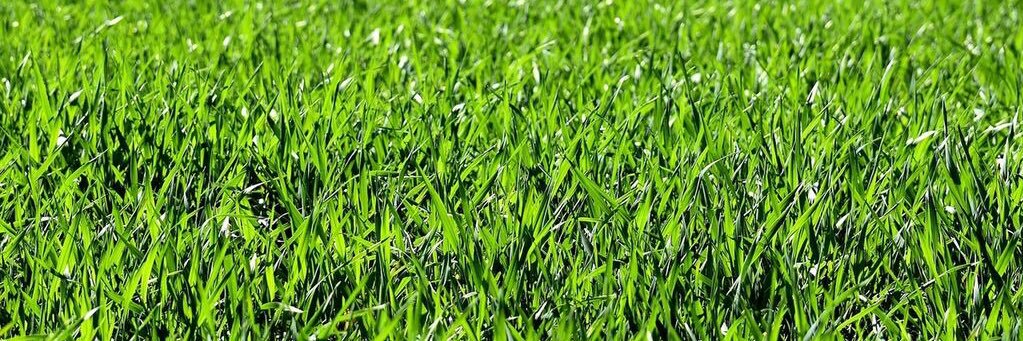 pues anda que tu!!! banner