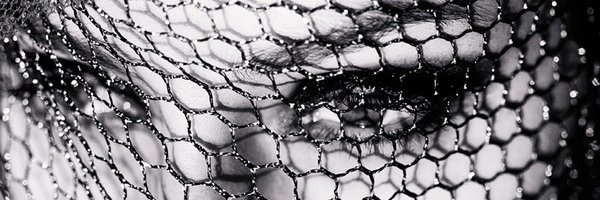 Shadow_Kinkster's profile banner image