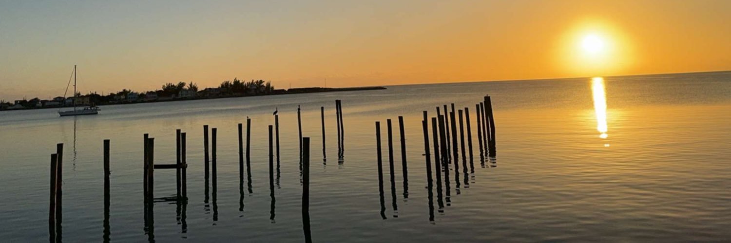 Lanesha03's profile banner image