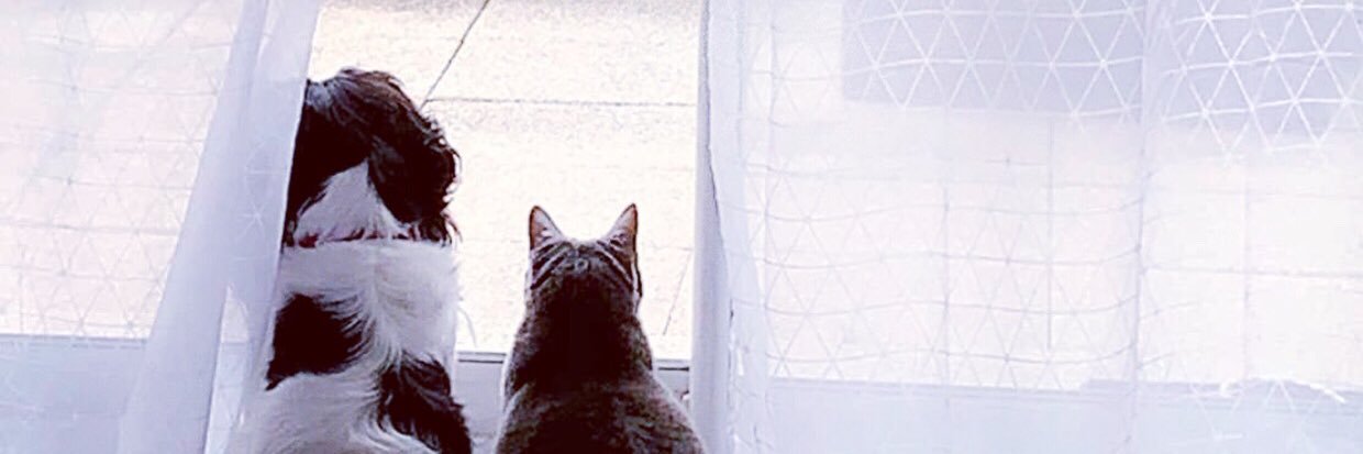 ChloePlou's profile banner image