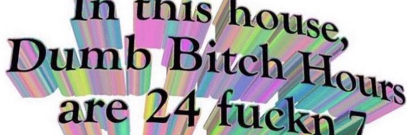 minideeags's profile banner image