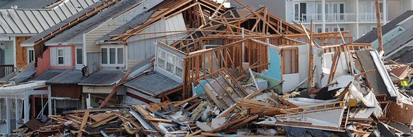 LivelyArrow Profile Banner