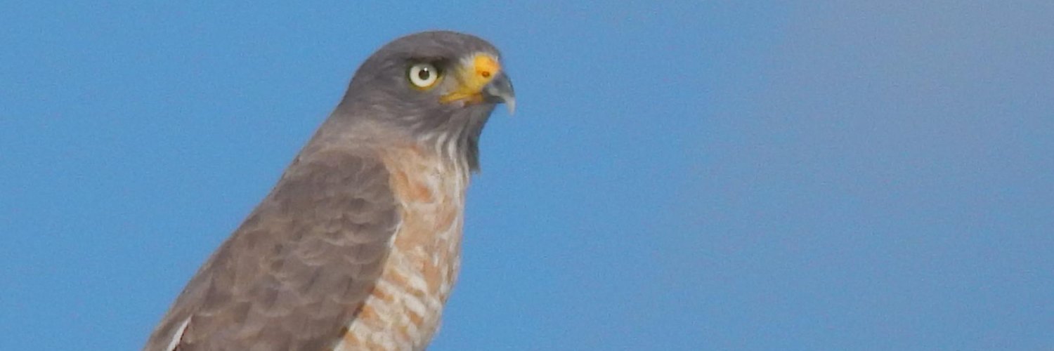 simulados_'s profile banner image