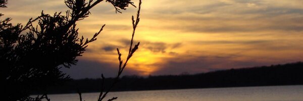 andywhitcomb Profile Banner