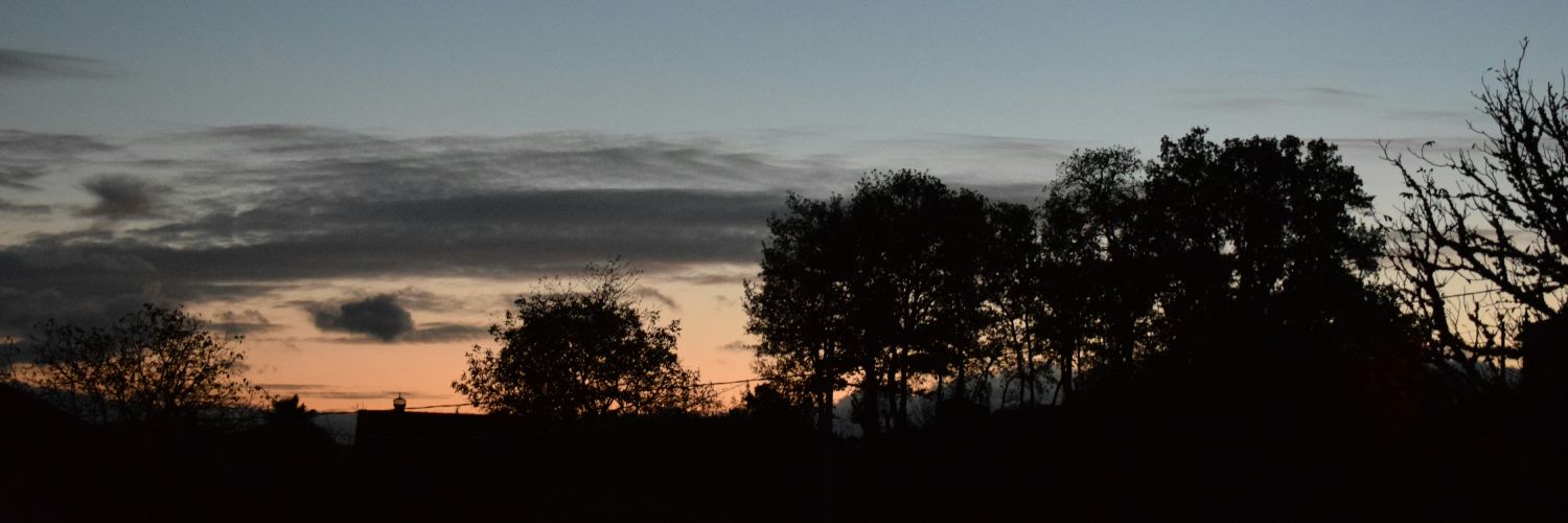 alexcorfei's profile banner image