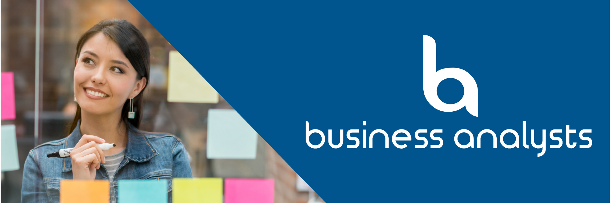 Tim Coventry | BAPL banner