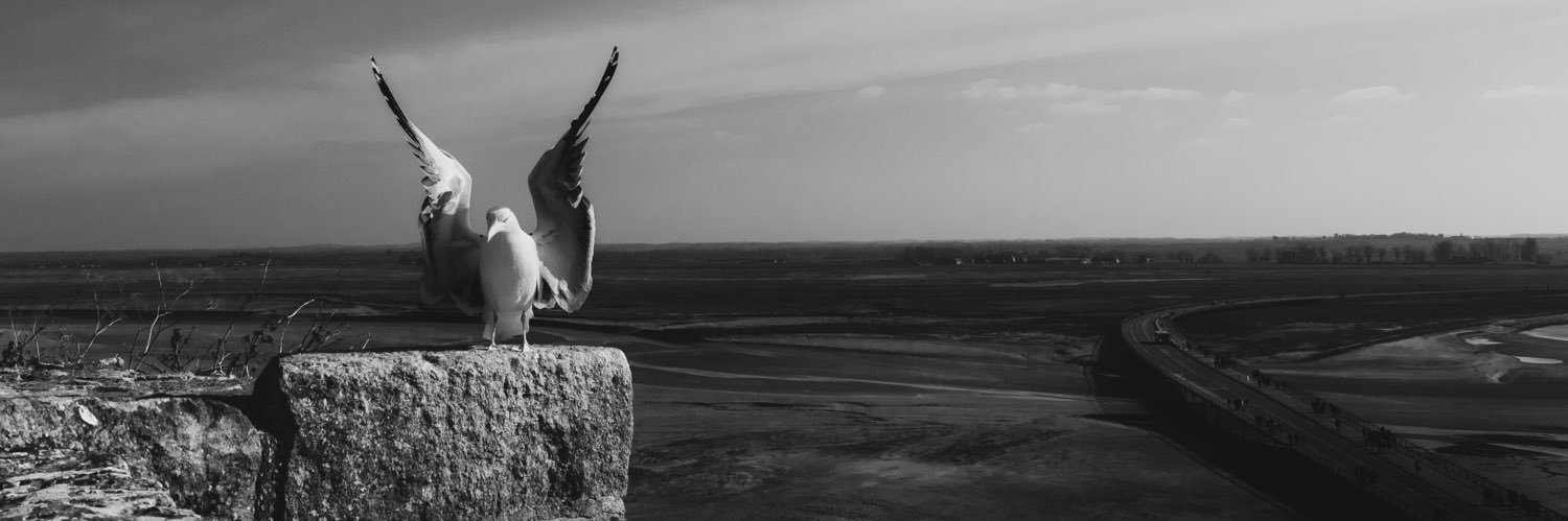 bistrotpixel's profile banner image