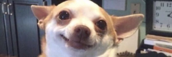 alex_itoooo Profile Banner