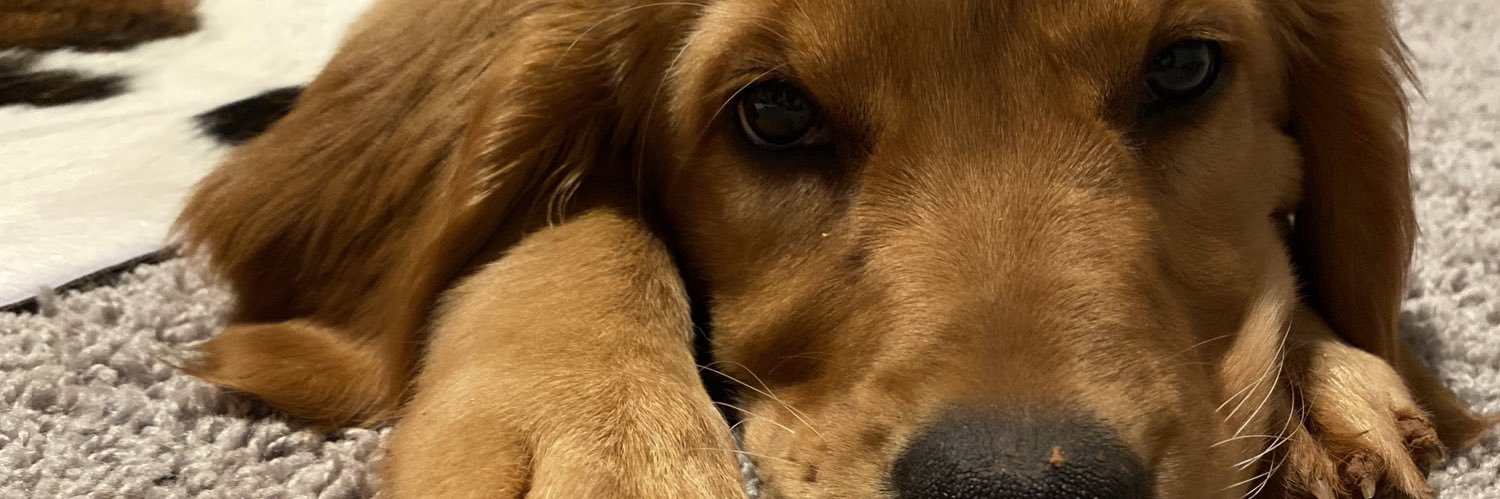 M_Vap's profile banner image